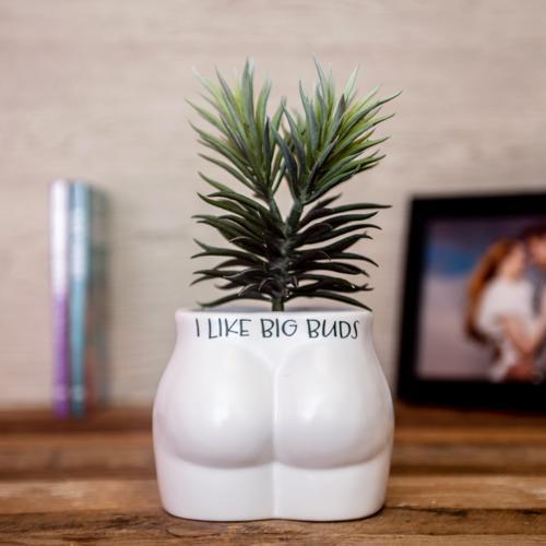 I Like Big Buds Novelty Plant Pot - Pack of 3
