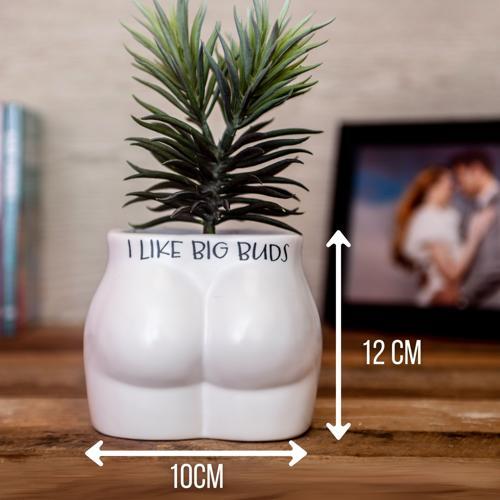 I Like Big Buds Novelty Plant Pot - Pack of 3