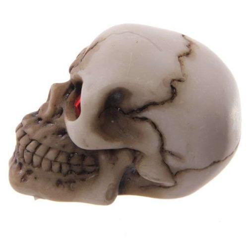 Gruesome Skull Decoration with Red Gem Eyes - Pack of 12