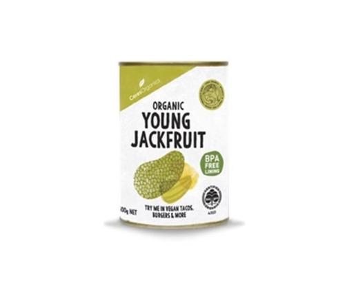 JACKFRUIT YOUNG IN WATER ORGANIC 400GM - Ceres