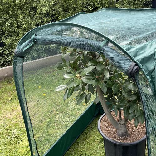 Maze Net Cover (1X1X1.25M) ESNC1002