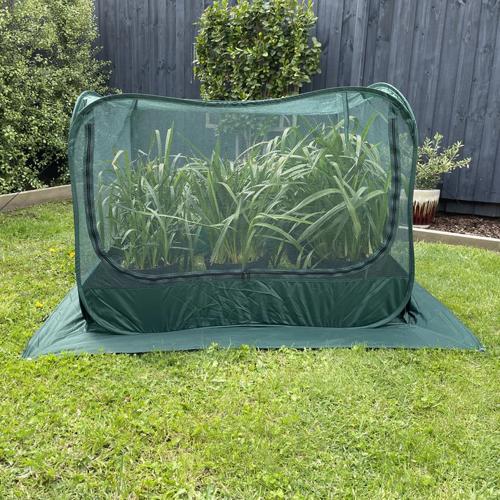 Maze Net Cover (1.25X1.25X0.92M) ESNC1251