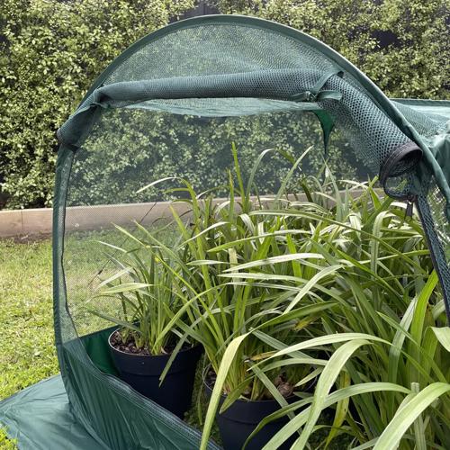 Maze Net Cover (1.25X1.25X0.92M) ESNC1251