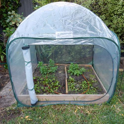 Maze Poly Cover (1.25X1.25X1.20M) ESPC1251