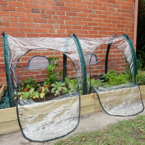 Maze Poly Tunnel (2X1X1M) ESPT2001