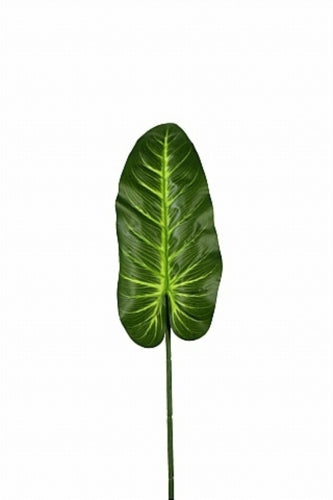 Calla Lily Leaf (Set of 6)