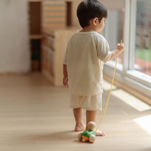 PlanToys - Montessori-Inspired Pull-Along Duck