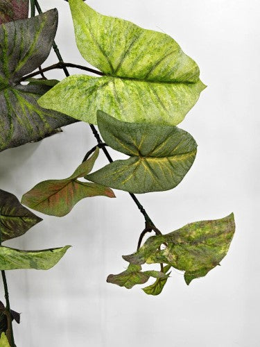 Artificial Hanging Velvet Nephthytis Leaf - Green