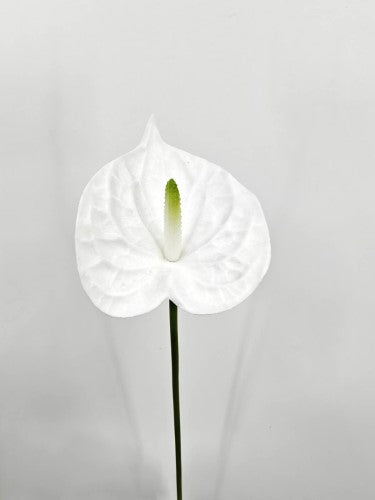 Artificial PU Anthurium Flower - White - 58cm