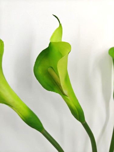 Artificial Calla Lily Flower Stem - Large - Green