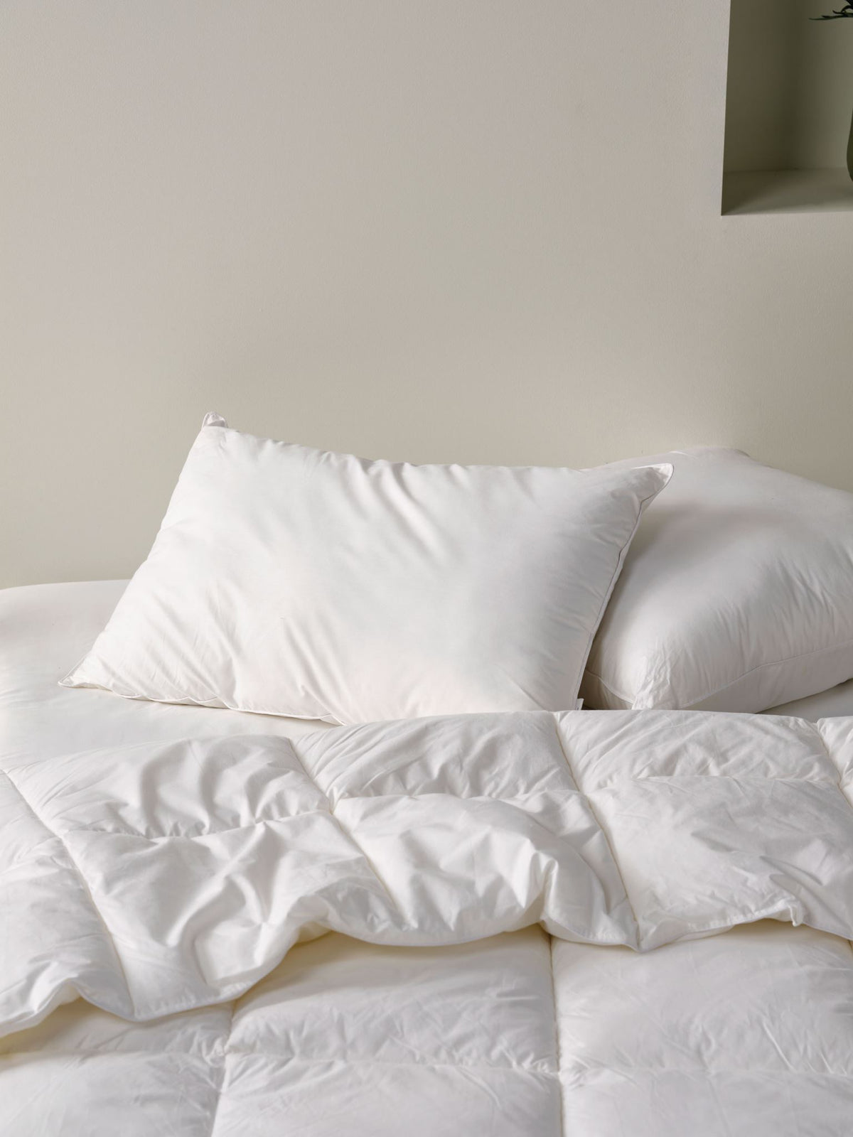 All Seasons Standard Pillow By Linen House - White