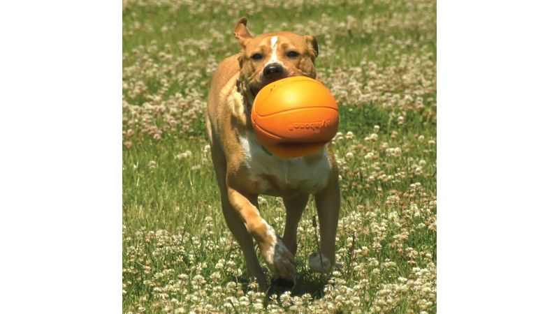 Dog Toy - Nylabone Basketball Gripz (Medium)