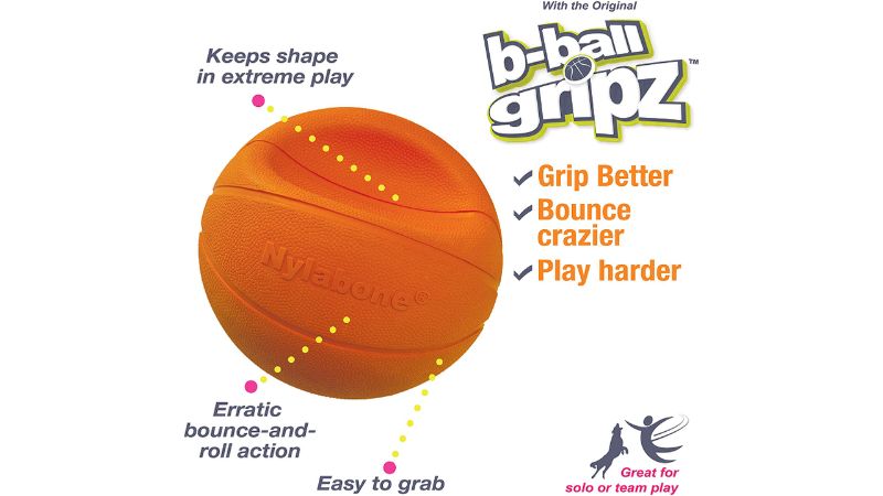 Dog Toy - Nylabone Basketball Gripz (Large)