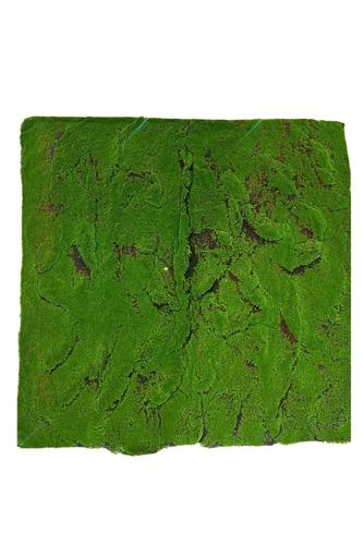 Lush Moss Panel - Basic