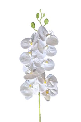 PHAELENOPSIS Faux - set of 10