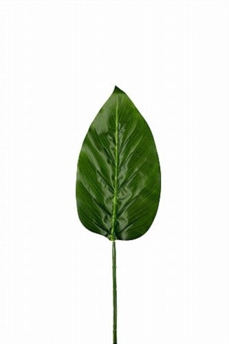 Artificial - Arum Leaf x 7 - Pack of 2