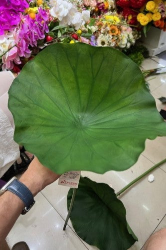 Artificial - Deluxe Lotus Leaf - Pack of 6