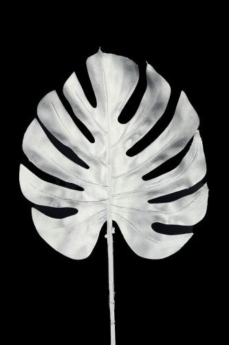 Artificial - Monstera Split Philo Leaf - Pack of 4