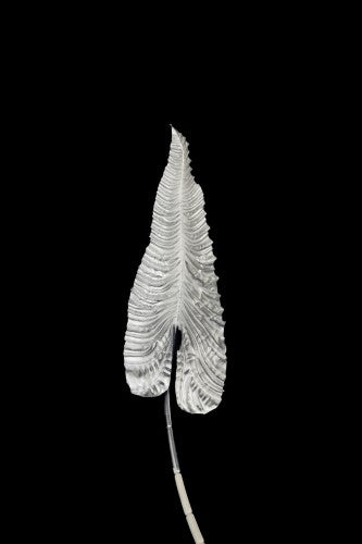 Artificial - Giant Anthurium Leaf - Pack of 4