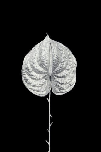 Artificial - Anthurium Flower - Pack of 4