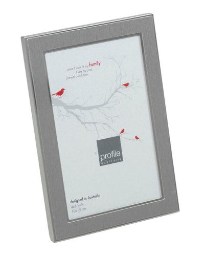 ETERNAL SILVER 4X6 FRAME
