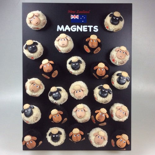 Magnet - Sheep Pompom (Set of 24 Assorted)