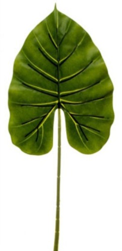 Leaf - Canna Pick (Dark Green)