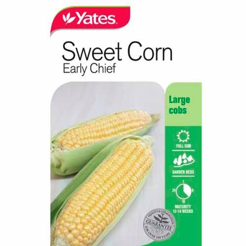 Sweet Corn Early Chief Seeds - Yates