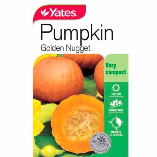 Pumpkin 'Golden Nugget' Heirloom Seeds - Yates