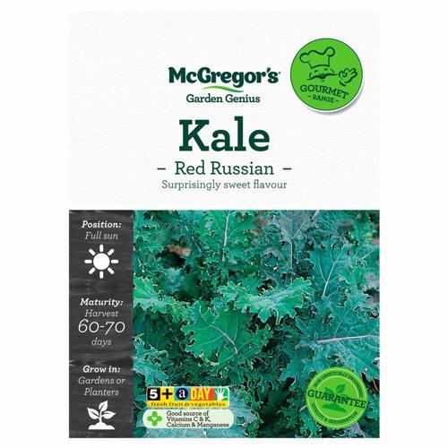 Red Russian Kale Gourmet Seed - McGregor's