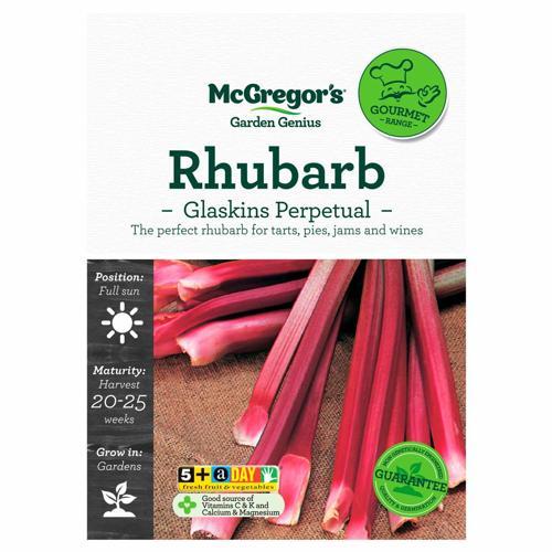 Glaskins Perpetual Rhubarb Gourmet Seed - McGregor's
