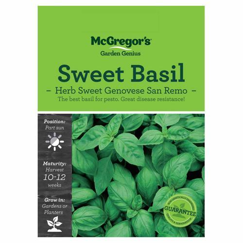 Sweet Genovese Basil Seeds - McGregor's