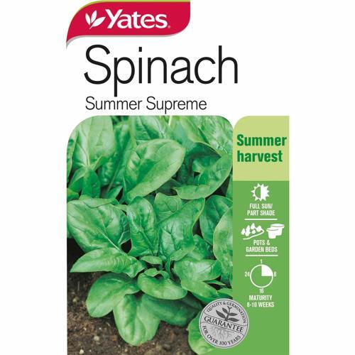 Spinach 'Summer Supreme' Seeds - Yates