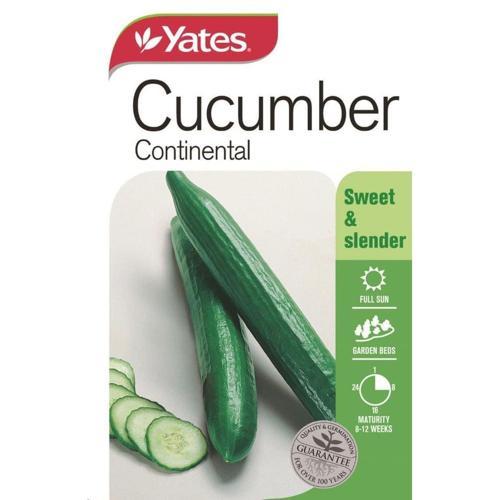 Cucumber 'Continental' Seeds - Yates