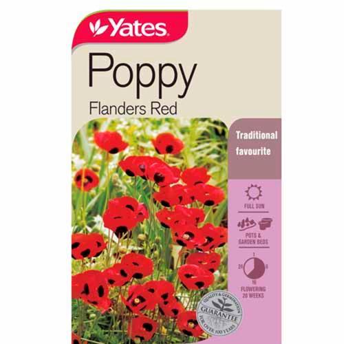 Poppy 'Flanders Red' Seeds - Yates