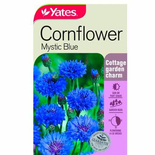 Cornflower Mystic Blue Seeds - Yates