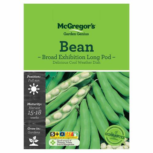 Exhibition Long Pod Broad Bean Seeds - McGregor's