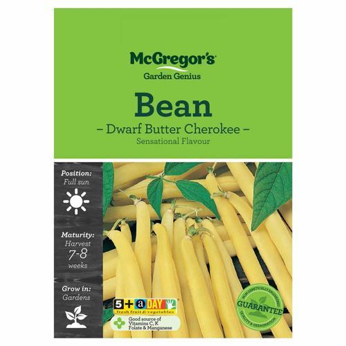 Dwarf Cherokee Butter Bean Seeds - McGregor's
