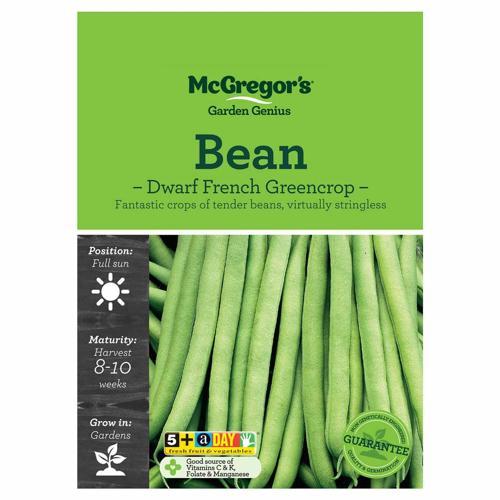 Dwarf French Greencrop Bean Seeds - McGregor's