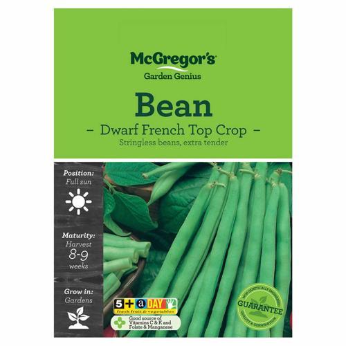 Dwarf French Top Crop Bean Seeds - McGregor's