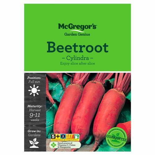 Cylindra Beetroot Seeds - McGregor's
