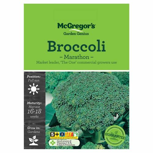 Marathon Broccoli Seeds - McGregor's