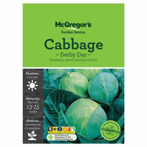 Derby Day Cabbage Seeds - McGregor's