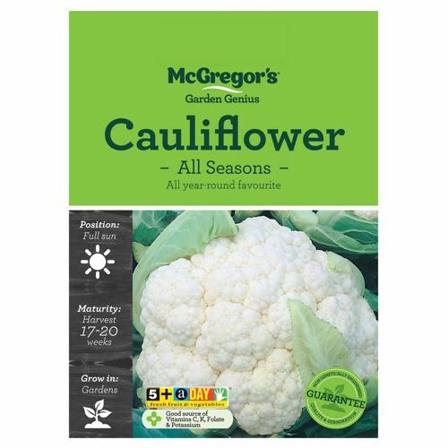All Seasons Cauliflower Seeds - McGregor's