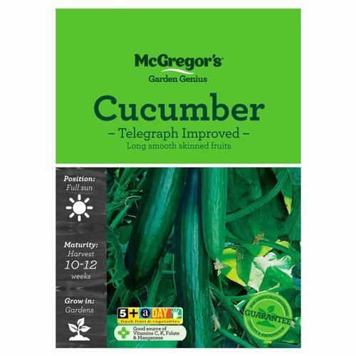 Telegraph Cucumber Seeds - McGregor's