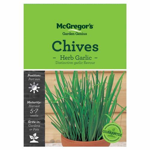 Garlic Chives Seeds - McGregor's