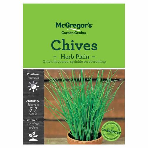 Plain Chives Seeds - McGregor's