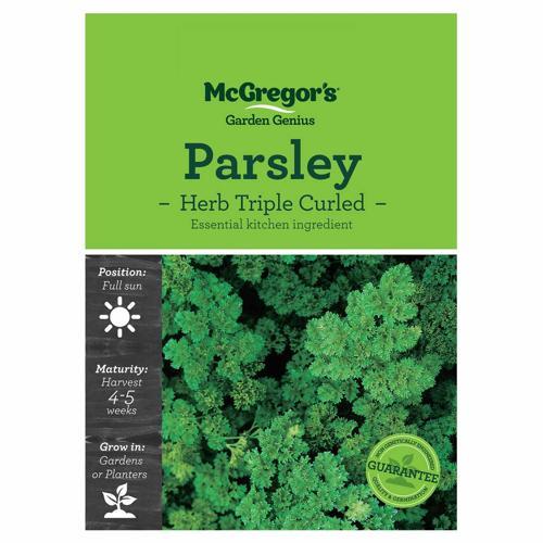Tripled Curled Parsley Seeds - McGregor's