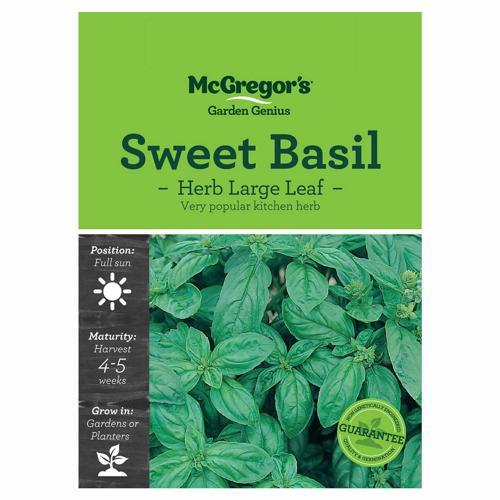 Sweet Basil Seeds - McGregor's