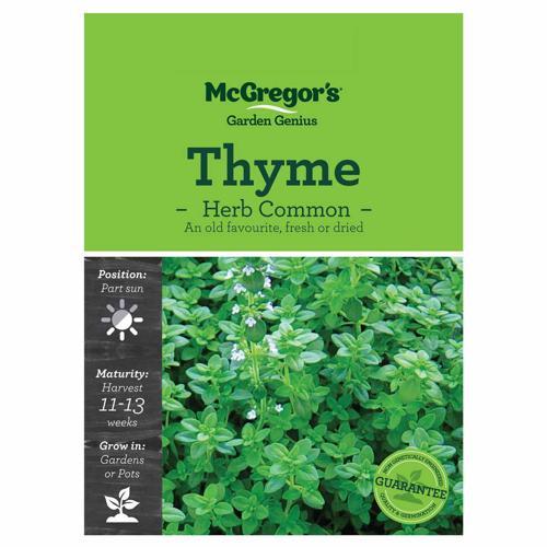 Common Thyme Seeds - McGregor's